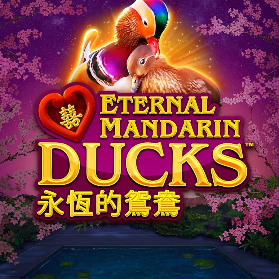 POWER PRIZES – Eternal Mandarin Ducks